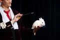 Magician with rabbit, Juggler man, Funny person, Black magic, Illusion on a black background Royalty Free Stock Photo