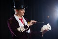 Magician with rabbit, juggler man, funny person, black magic, illusion on a black background Royalty Free Stock Photo