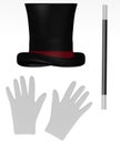 Magician tools (gloves,hat, stick)