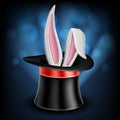 Magician top hat with white rabbit ears