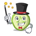Magician vegetable organic food slice cucumber mascot