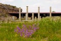 Magnesia ancient city column in aydin city, Turkey