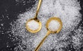 Magnesium chloride in two spoons - chemical component Royalty Free Stock Photo