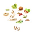 Magnesium-containing products