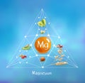 Magnesium in food. Concept