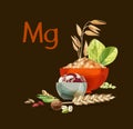 Magnesium in food. Natural organic foods high in magnesium. Royalty Free Stock Photo