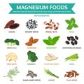 Magnesium foods, healthy food vector illustration