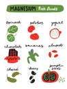 Magnesium foods. Vector illustration of different foods full of magnesium.