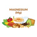 Magnesium (Mg) in food icon vector