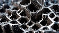 Magnetic Alchemy: Macro Explorations of Silver Ferrofluid\'s Biogenic Textures