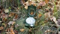 Magnetic compass on the grass
