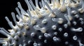 Magnetic Elegance: Exploring Macro Details of White Ferrofluid\'s Hexagonal Biogenic Structures