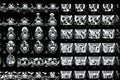 Magnetic resonance of a brain Royalty Free Stock Photo