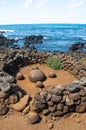 Magnetic round stone in Te Pito Kura, Easter island, Chile