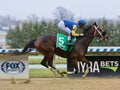 Magnetique Winning Easily Under Wraps at Aqueduct Royalty Free Stock Photo