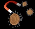 Magnetoliposome is liposome with coated magnetic nanoparticles attached outside of the lipid surface with magnet for drug release