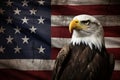 Magnificent american bald eagle proudly perched on a grunge flag, symbolizing freedom and patriotism Royalty Free Stock Photo