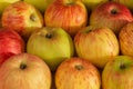 Magnificent background with mature village apples. Royalty Free Stock Photo