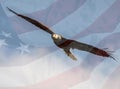 Magnificent bald eagle in flight superimposed on an American flag. Royalty Free Stock Photo