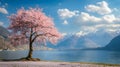 A magnificent and beautiful cherry blossom tree standing alone, with beautiful mountain and lake views Royalty Free Stock Photo