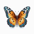 Magnificent Butterfly Collection Nature\'s Symphony