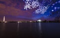 The magnificent Cherry Blossoms in Washington, D.C.