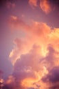 Magnificent colorful clouds in the evening sky. Bright, pink clouds in the sky at sunset. Beautiful evening skyscape. Abstract, pu Royalty Free Stock Photo