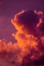 Magnificent colorful clouds in the evening sky. Bright, pink clouds in the sky at sunset. Beautiful evening skyscape. Abstract, pu Royalty Free Stock Photo
