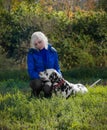 Magnificent Dalmatian dog on the nature with a girl Royalty Free Stock Photo