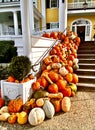 Pumpkins autumn Ocean and House hotel Rhode Island Watch Hill Royalty Free Stock Photo