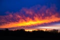 Magnificent evening sky with orange and violet clouds like flames after sunset behind silhouettes of bare trees. Deep horizon. Royalty Free Stock Photo