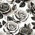A A magnificent flowers, roses in black and white, Detailed and realistic black and white drawing of a rose