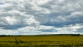 Magnificent fluffy clouds over the rapeseed field during sunset. Gray rainy clouds over a field of flowering rapeseed. Industry Royalty Free Stock Photo