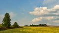 Magnificent fluffy clouds over the rapeseed field during sunset. Gray rainy clouds over a field of flowering rapeseed. Industry Royalty Free Stock Photo