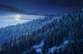 Magnificent forest in winter mountains at night Royalty Free Stock Photo