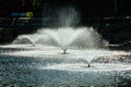 Magnificent fountain in the middle of the river. Dobele, Latvia