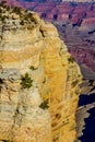 The Magnificent Grand Canyon in Arizona