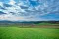 Magnificent Green grass and agricultural fields with small gravel roads