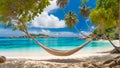 Magnificent hanging hammock rest backdrop coast idyllic relaxation