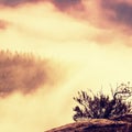 Magnificent hilly landscape in gentle pink pink sunrise. Beautiful valley of rocky mountains park. Hills increased from morning Royalty Free Stock Photo