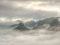 Magnificent hilly landscape in gentle pink sunrise. Misty valley