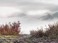 Magnificent hilly landscape in gentle pink sunrise. Misty valley Royalty Free Stock Photo