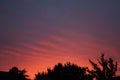 Beautiful sky at sunset over the autumn garden. Berlin, Germany Royalty Free Stock Photo