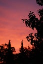 Beautiful sky at sunset over the autumn garden. Berlin, Germany Royalty Free Stock Photo