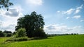 Magnificent landscape of green fields