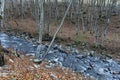 Magnificent landscape with mountain river Vit flowing in the autumn forest over mossy rocks and big stones near Teteven town Royalty Free Stock Photo