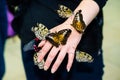 A magnificent large butterflies on a girl`s hand. Beautiful butterfly Royalty Free Stock Photo