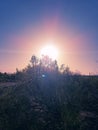 Magnificent  Lg Pink Starbust Sunset Pinwheel pink Rainbow Sun Rays Huvering  over Desert  LandScape Sky Scene Nature Photography Royalty Free Stock Photo