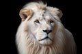 Magnificent Lion King Portrait of Majestic White. Generative AI