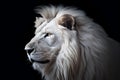 Magnificent Lion King Portrait of Majestic White. Generative AI